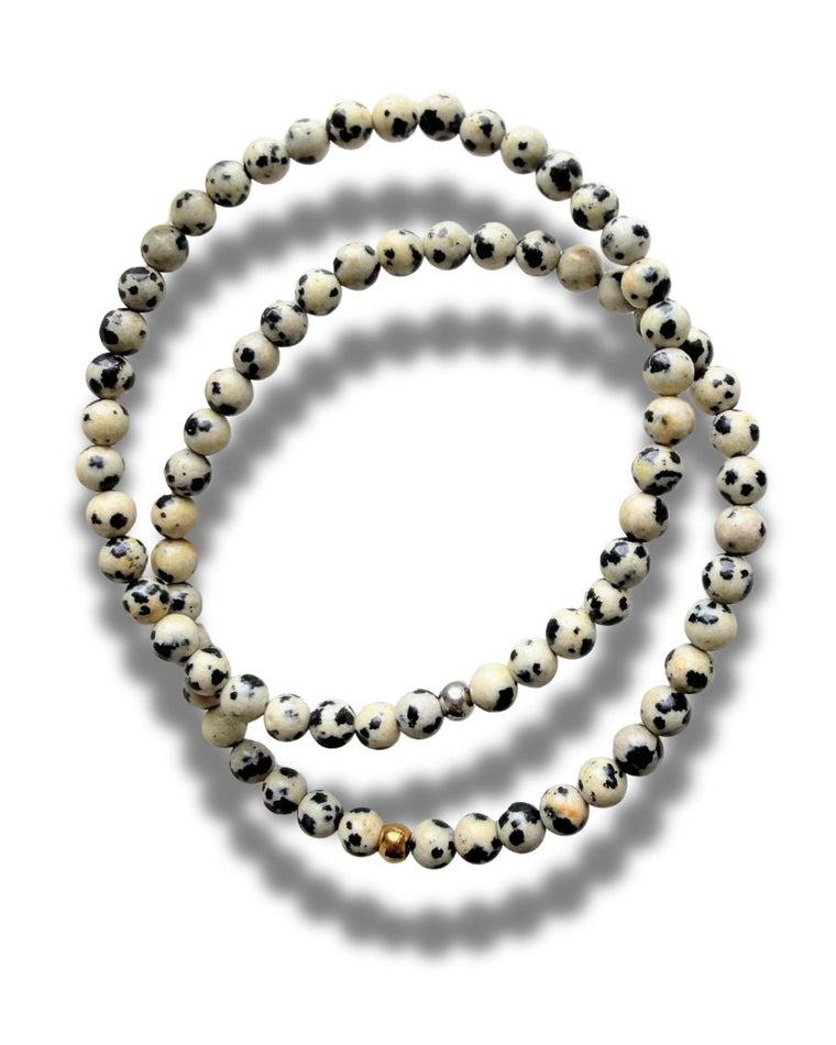 Small Reminders: Dalmatian Jasper