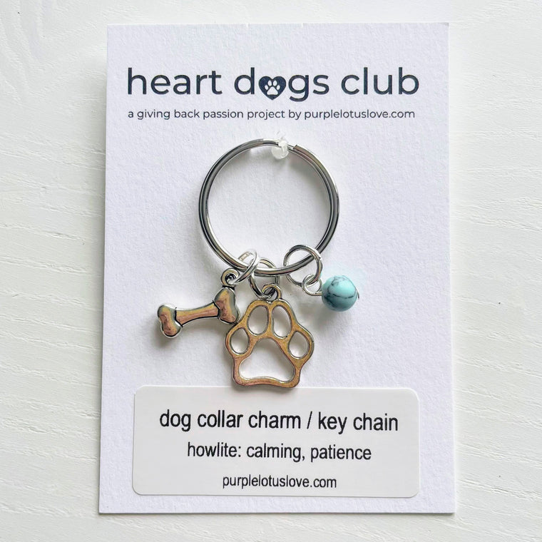 Dog Lover Collar Charm / Keychain: Blue Howlite