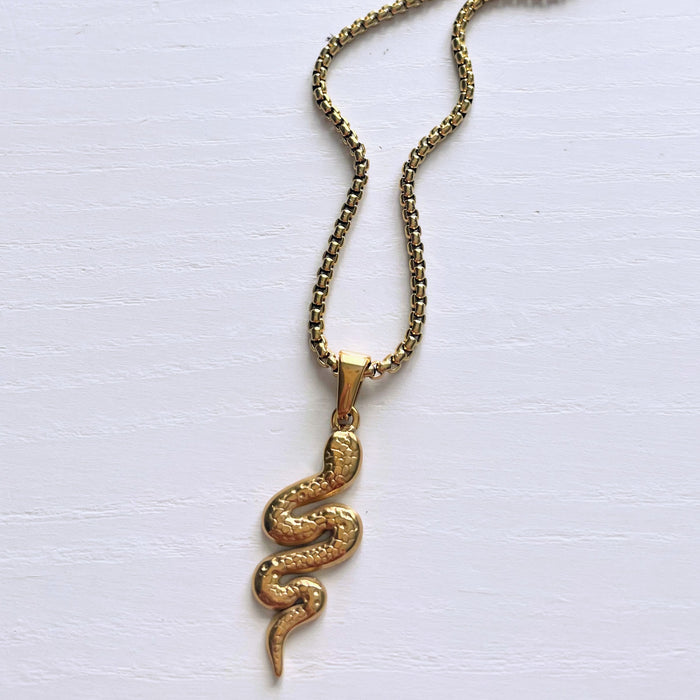 Snake Energy Necklace